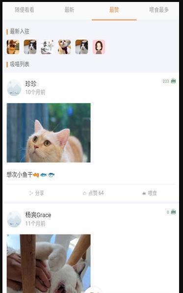 猫咪俱乐部