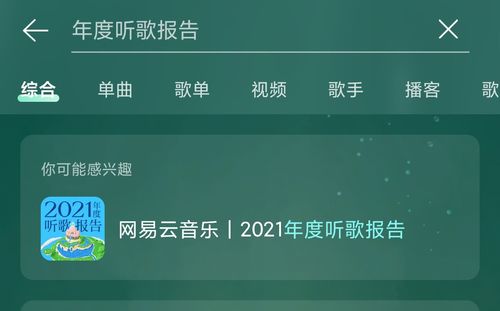 如何查看2021网易云音乐年度报告？ 3