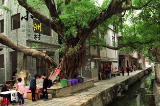 探索广州隐秘瑰宝：小洲村的非凡玩乐之旅 1
