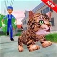 猫咪模拟器2024