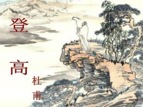 杜甫诗中黄梅雨，点水蜻蜓翩翩飞 2