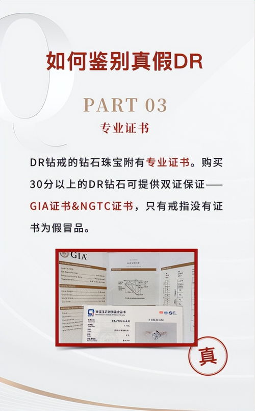 如何精准鉴别DR（品牌名）真伪的实用指南 1