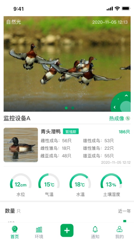 青头潜鸭app