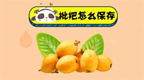 如何长时间储存枇杷 5