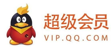 如何开通腾讯视频VIP、QQ会员、超级会员SVIP及黄钻服务 4