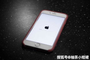 iPhone出现白苹果，该如何快速解决？ 1