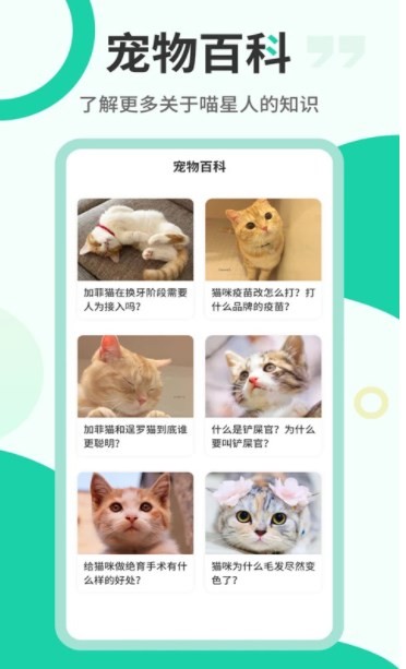猫语翻译机安卓版