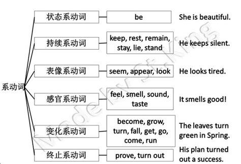 揭秘：常见的系动词大全，你了解多少？ 5