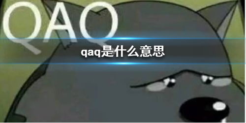 QAQ的含义及解释 1