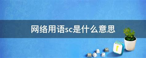 揭秘！SC到底是什么意思？点击了解真相！ 2