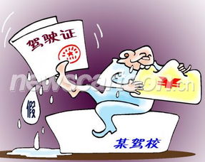 如何鉴别驾驶证的真假？ 2