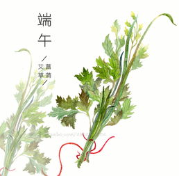 艾草菖蒲简易线条画教程 1