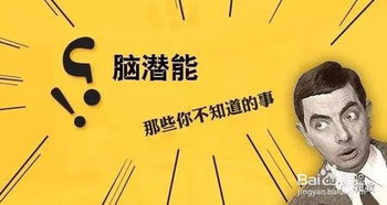 如何进行注意力训练？HSP间脑开发提供方法 2
