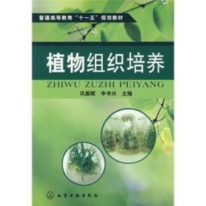 植物组织培养的三大路径 3