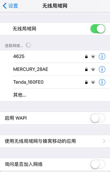 苹果11pro怎样设置以允许WiFi万能钥匙访问本地网络？ 3