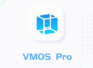 VMOS Pro 1