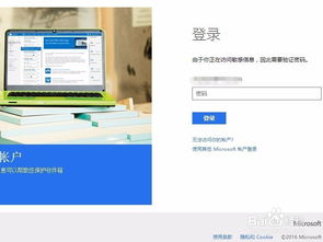 Microsoft官网登录步骤详解 2