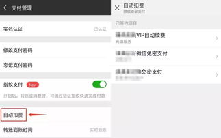 轻松调整微信扣费顺序，让支付更顺心！ 2
