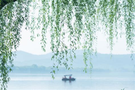 二月春光醉人眼，草长莺飞柳拂烟 2