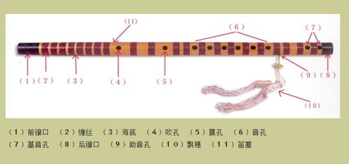 你知道犁耙的正确读音是什么吗？一次点击，解锁答案！ 3