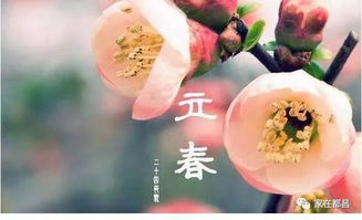 2020年立春次数探究 2