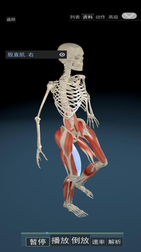 3D动态解剖app