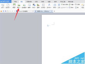 WPS表格中的图片如何轻松转换为PDF文档？ 2