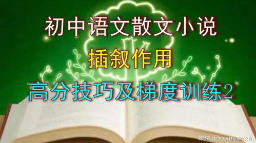 揭秘插叙的神奇效果：为何它能深深吸引你？ 2