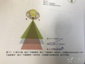 轻松学会：将现实中未知物品翻译成英文的技巧 1