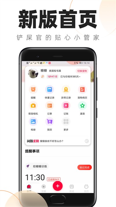 铲屎官日常手机版