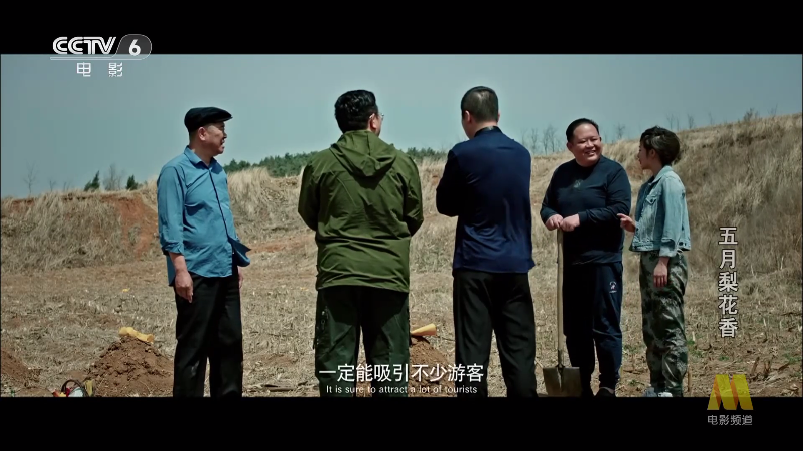 网络电视直播