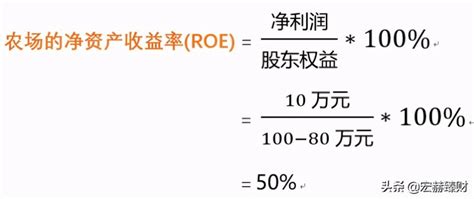 揭秘！净资产收益率计算公式全解析，轻松掌握投资回报关键指标 3