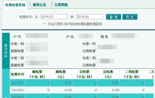 如何轻松查询电费明细账单 2