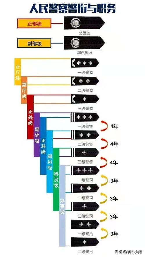 揭秘公安级别肩章划分，一看就懂的详细指南！ 3