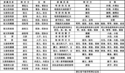 华人亲属关系详细称谓 4