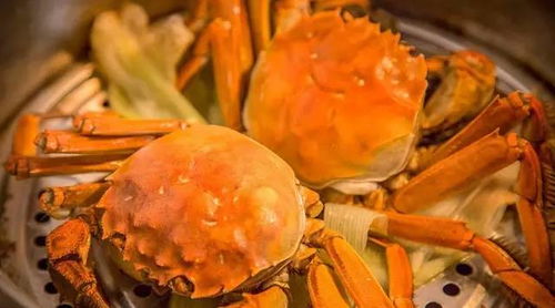 大闸蟹如何保鲜才能存活几天后再吃？ 2