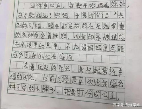 探寻宜阳之美：一段800字的深度印象记 2