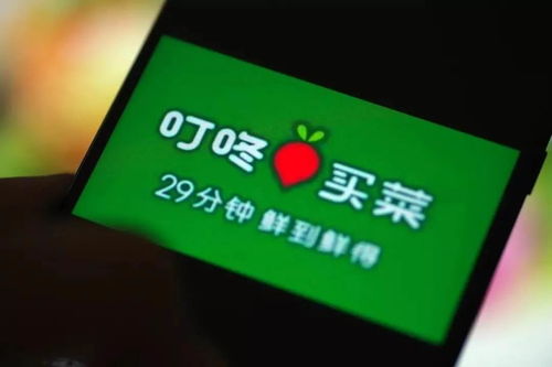 叮咚买菜抢购黄金时段大揭秘！ 1