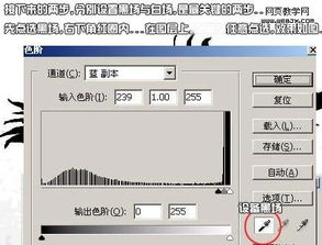 PS如何利用通道进行抠图？ 1