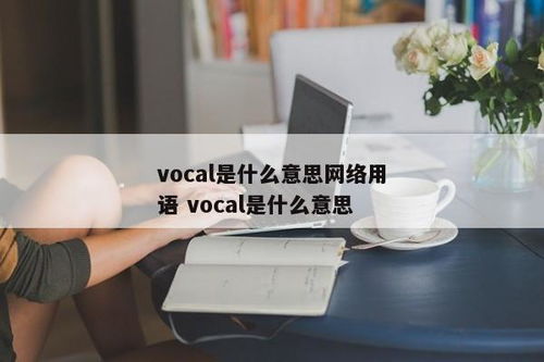 揭秘！'vocal'一词的真正含义，你了解吗？ 1