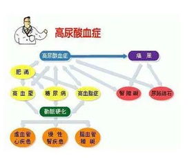 尿酸偏高时的常见症状有哪些 4