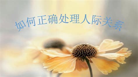 优化人际关系管理的策略 1