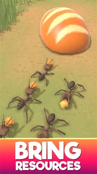 蚂蚁建造