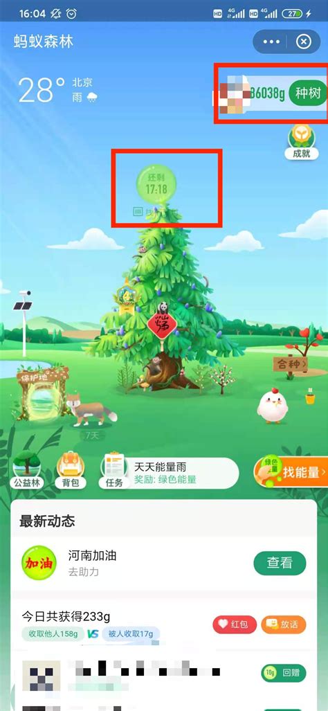 支付宝蚂蚁森林：轻松攻略，教你如何快速收取能量！ 2