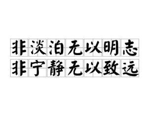 深度解析：'非淡泊无以明志，非宁静无以至远'的哲理与启示 5