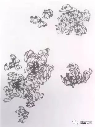 怎样一步步学画菊花的简笔画？详细教程分享 2