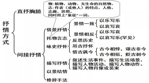 抒情表达的功效与意义 1