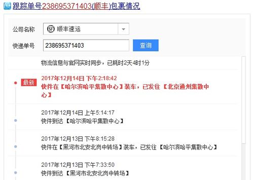 一键速查！顺丰快递物流信息轻松追踪 3
