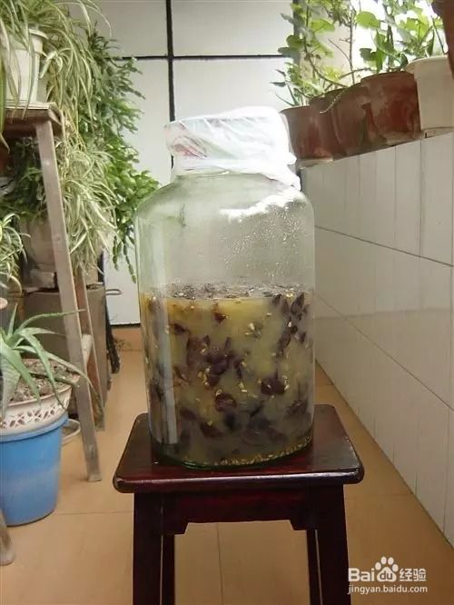 自制葡萄酒：从零开始的酿酒艺术 4