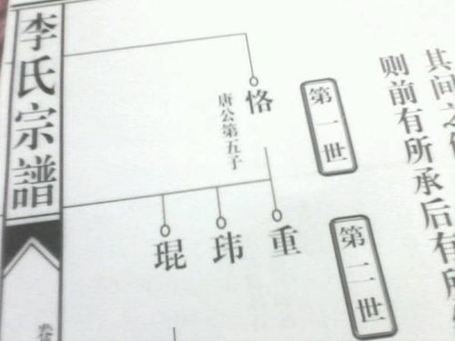 如何在网上查询族谱或家谱的方法？ 1